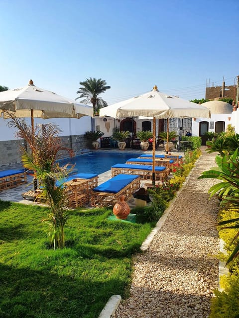 Garden, Garden view, Pool view, Swimming pool