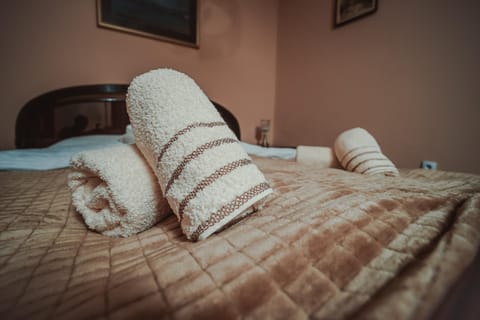 Villa 1880 Apartment in Novi Sad