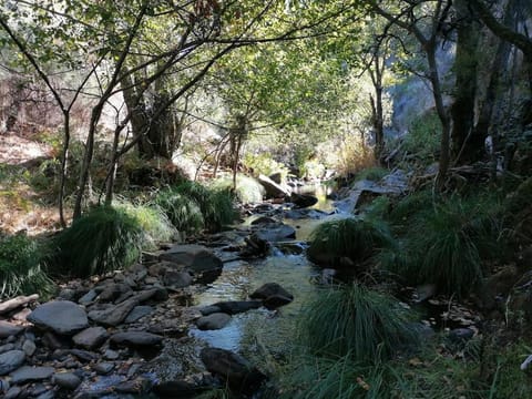 Natural landscape, Hiking