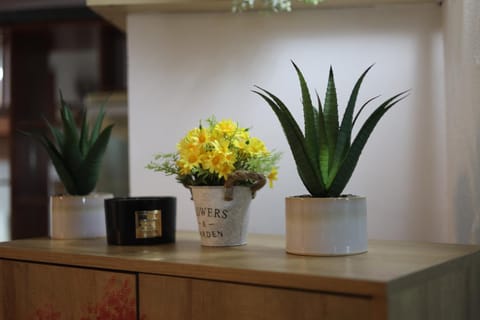 Hotel Casa Italia Hotel in Dolj County, Romania