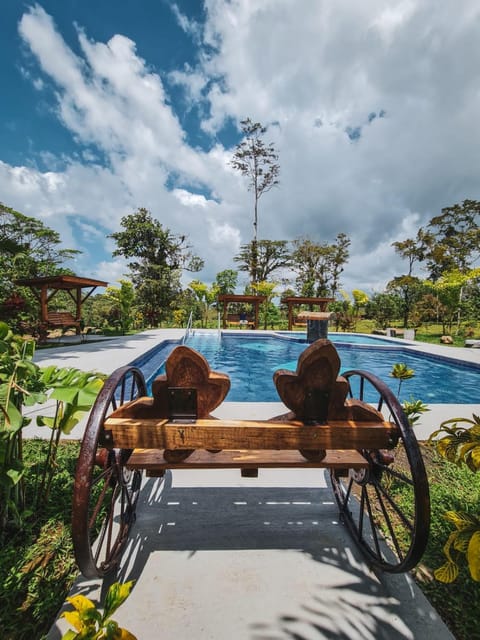 Natural landscape, Garden, Garden view, Pool view, Swimming pool