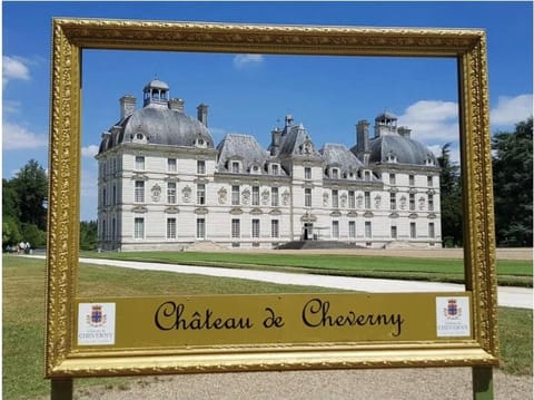 Le Beauval enchanté proche zoo & châteaux de la Loire House in Centre-Val de Loire