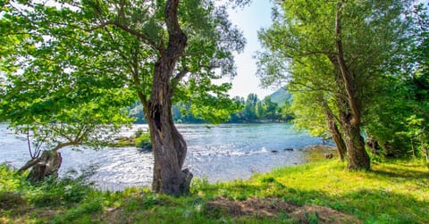 Natural landscape, Garden, River view, River view