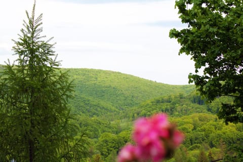 Natural landscape, View (from property/room), Mountain view