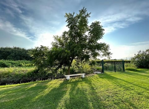Natural landscape, Garden, Garden view