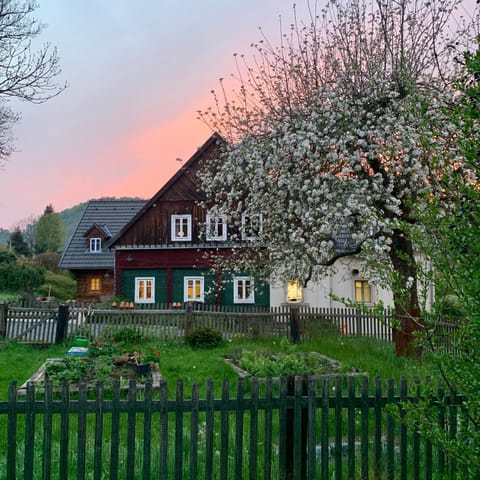 Property building, Garden, Garden view