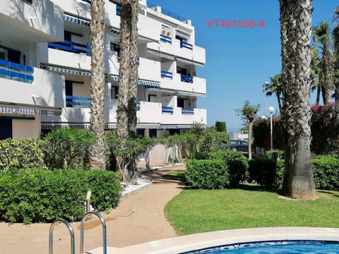 Day, Garden, Garden view, Swimming pool