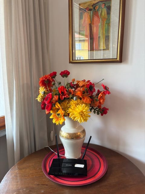 Area and facilities, internet