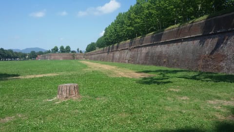 Landmark view, Entertainment