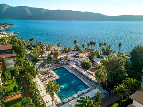 Day, Natural landscape, Bird's eye view, Pool view, Sea view, Swimming pool, Swimming pool, sunbed