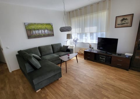 Communal lounge/ TV room, TV and multimedia, Living room