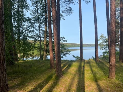 Borowy Glamp więcej niż domki Campground/
RV Resort in Pomeranian Voivodeship
