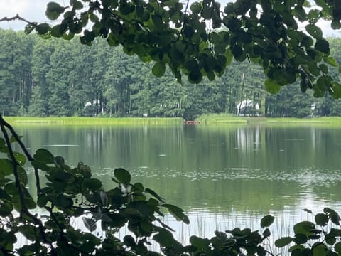 Borowy Glamp więcej niż domki Campground/
RV Resort in Pomeranian Voivodeship