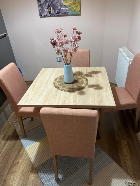 Apartman Teodora Apartment in Vojvodina