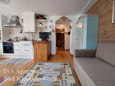 JODLER - Apartment in top central position Apartment in Carinthia, Austria