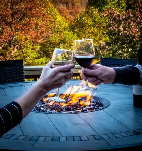 People, Autumn, Drinks, Alcoholic drinks, group of guests, fireplace