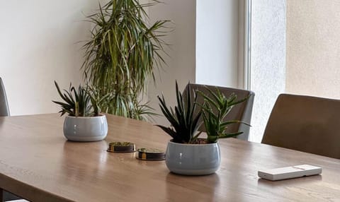 Villa Damiani Villa in Pula