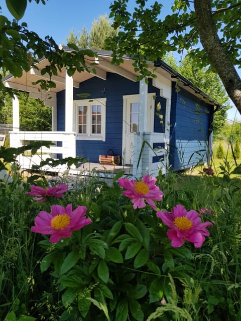 Property building, Garden, Garden view