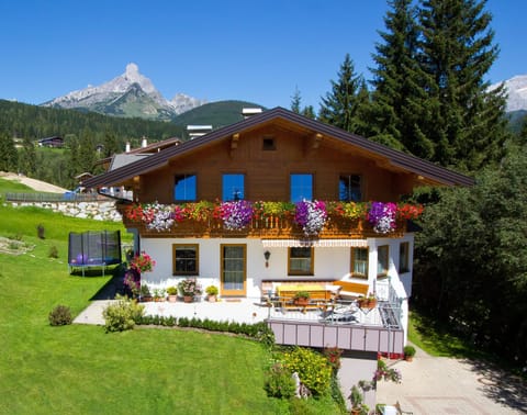 Bird's eye view, Summer