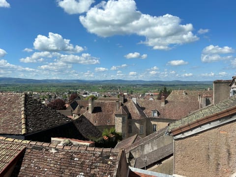 Studio 2 pers ou Appartement 4-7 pers Quartier Cathédrale Apartment in Autun