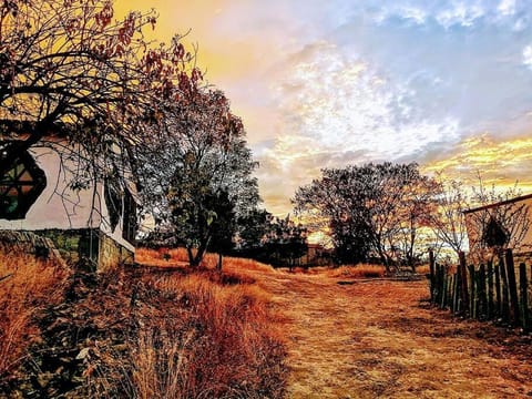 Property building, Facade/entrance, Natural landscape, Garden, Sunset