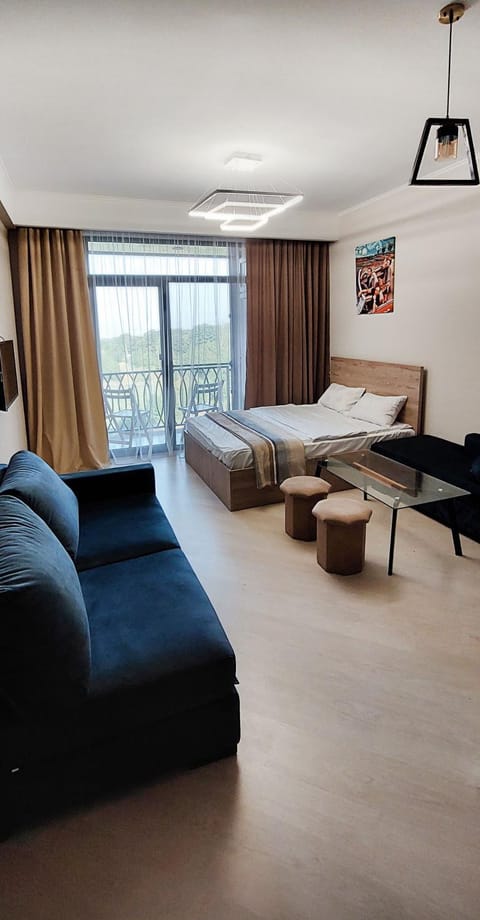 Bed, Living room, Photo of the whole room, Seating area, Bedroom
