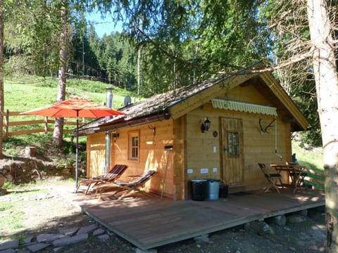 Sonnhuette Chalet in Salzburgerland