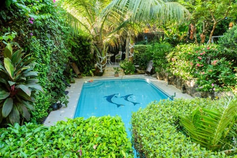Garden, Swimming pool