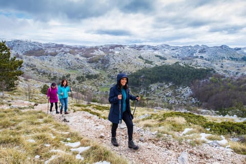 Apartment Petar - 20 meters from the Beach Apartment in Dubrovnik-Neretva County