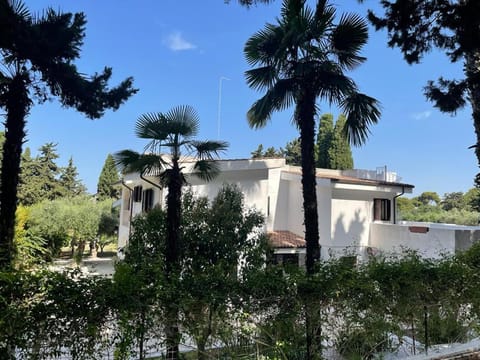Property building, Spring, Day, Garden, Garden view