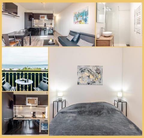 Appartement T2 I Vue Lac Léman I Evian les Bains Apartment in Évian-les-Bains