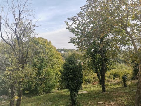 Natural landscape