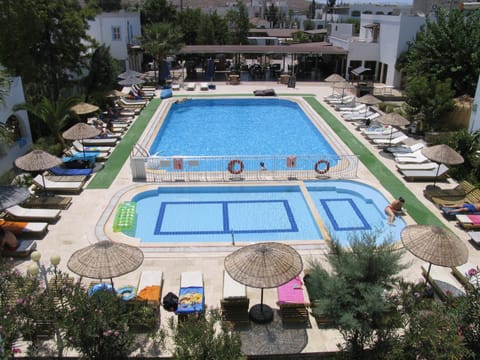 Bird's eye view, Pool view, Swimming pool, Location, sunbed