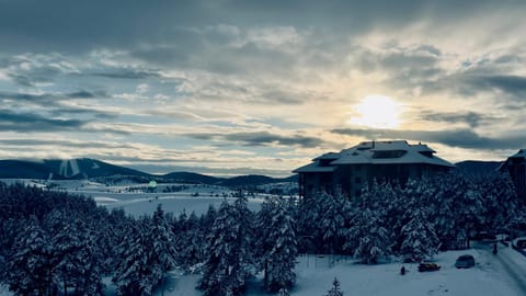 Mila Bregovi - prostrani dupleks Apartment in Zlatibor