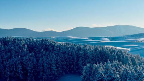 Mila Bregovi - prostrani dupleks Apartment in Zlatibor
