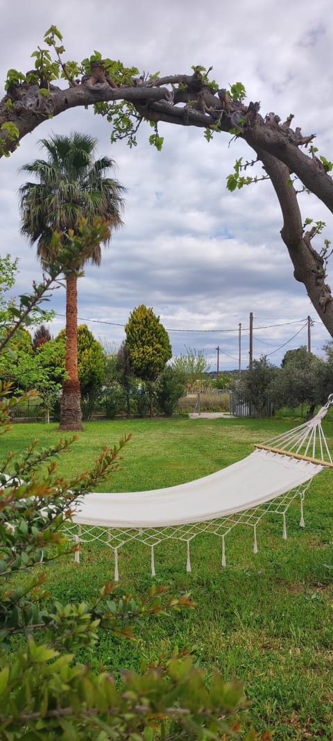 Garden, Garden, Garden view