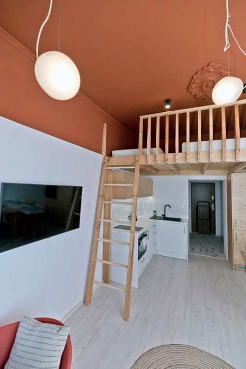 Communal lounge/ TV room, bunk bed