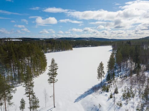 Winter, View (from property/room), Lake view