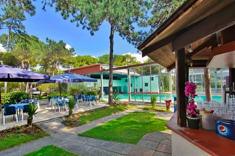 Day, Lounge or bar, Pool view, Swimming pool