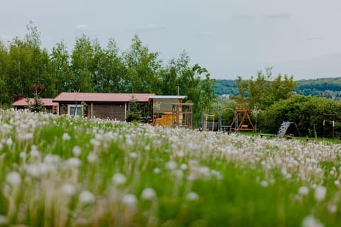 Property building, Spring, Day, Natural landscape, Garden, Garden, Balcony/Terrace, Garden view