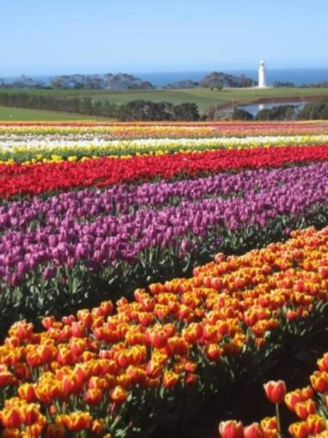 Kadi House - Unit 2 Apartment in Wynyard