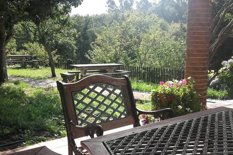 Garden, Balcony/Terrace, Garden view
