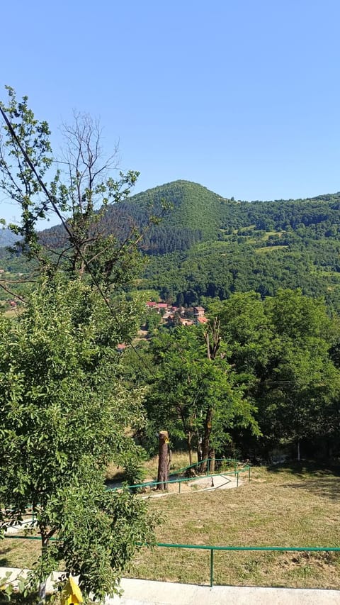 View (from property/room)