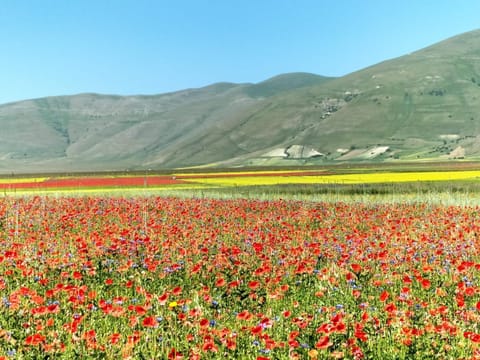 Casale dei Briganti Farm Stay in Umbria