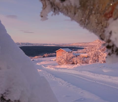 Natural landscape, Winter