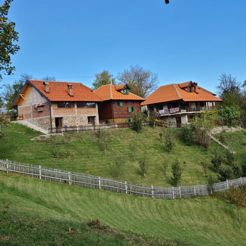 Property building, Neighbourhood, Garden