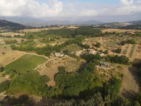 Natural landscape, Bird's eye view