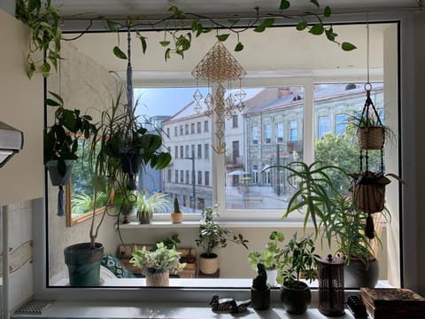 Three bedroom with two terraces for 7people+baby Apartment in Lithuania