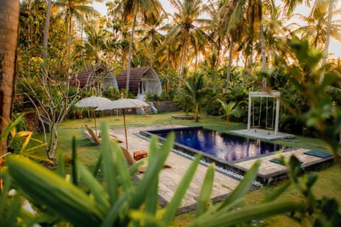 Pool view, Swimming pool, sunbed