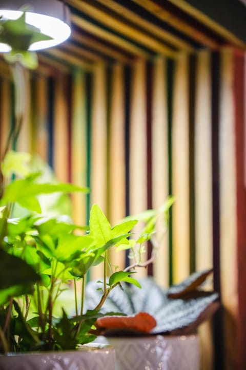 B&B Terra - Stanza Viaggio Bed and Breakfast in Carloforte